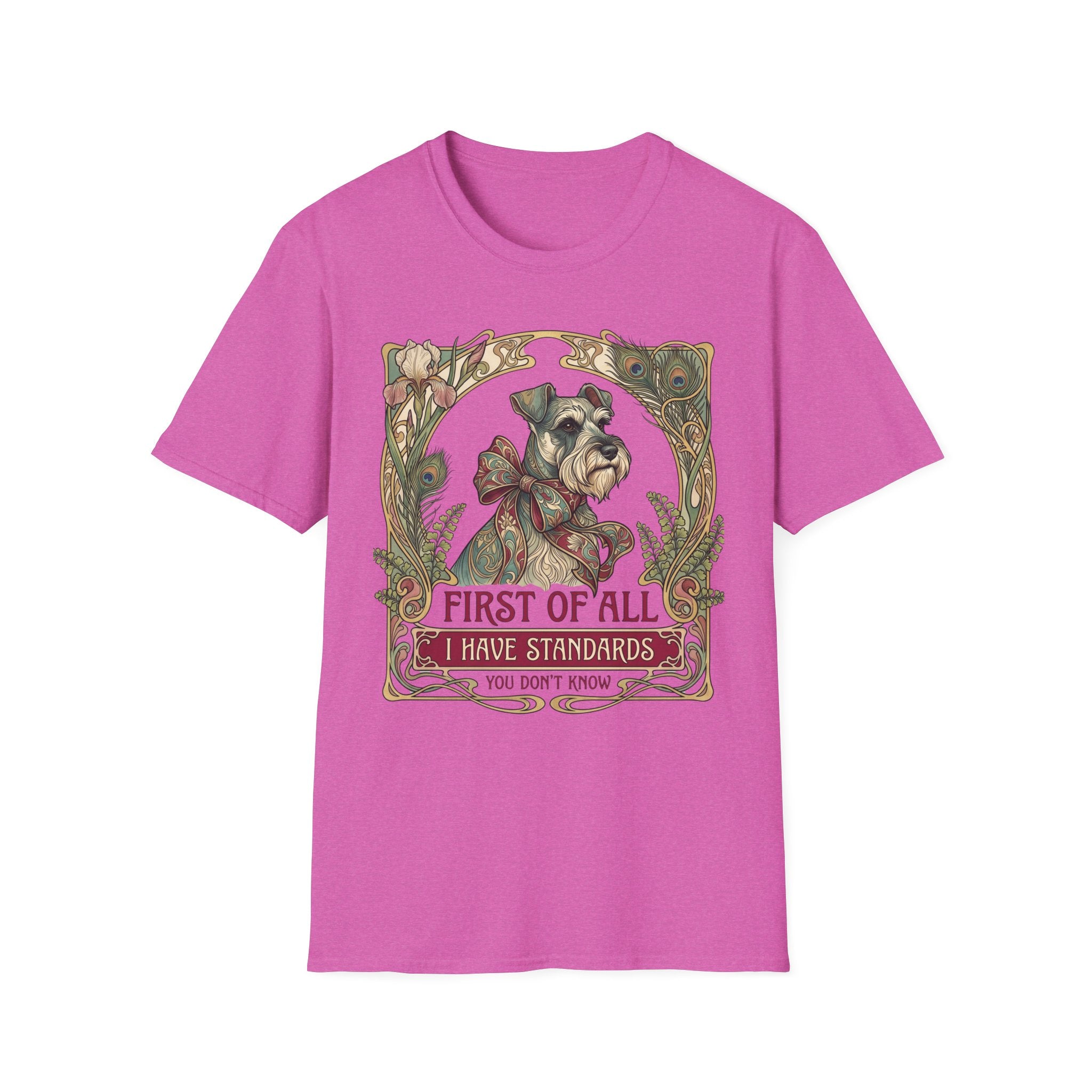 I Have Standards T-Shirt