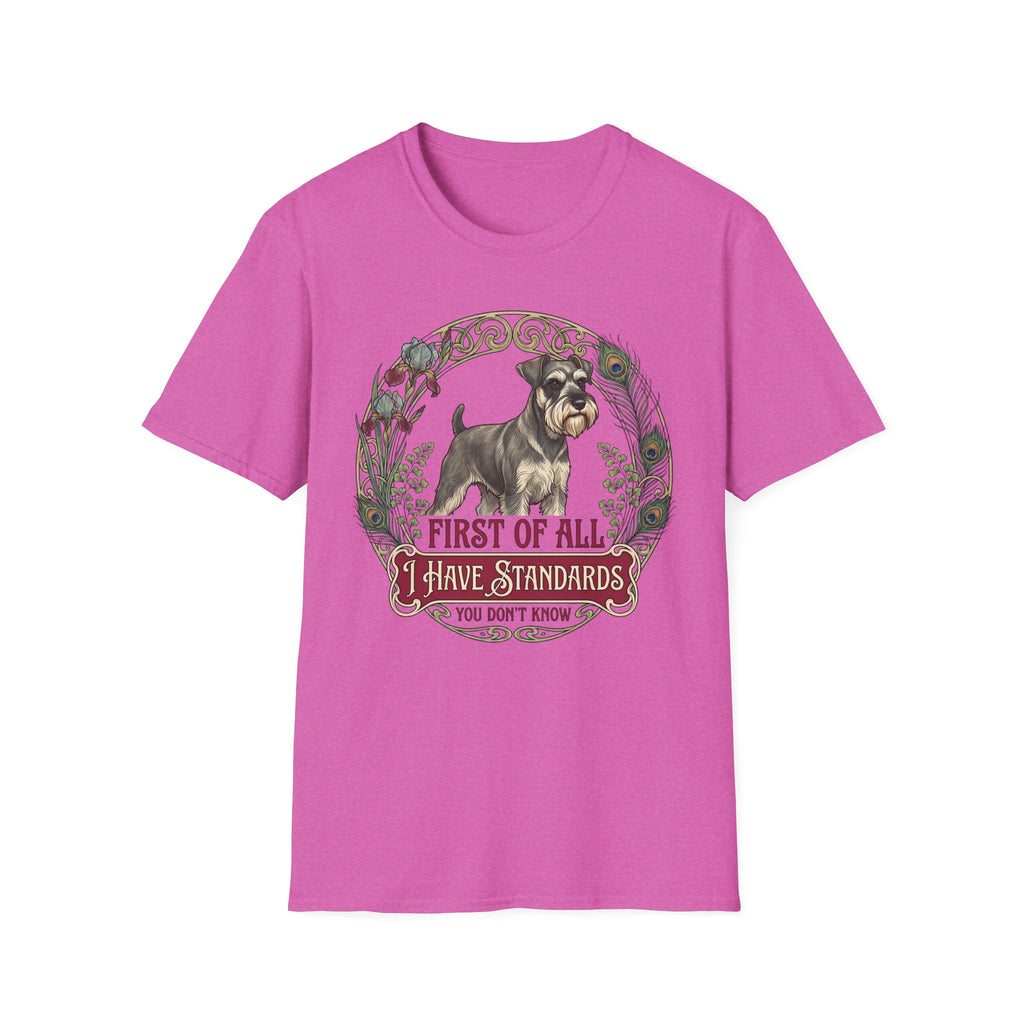 I Have Standards T-Shirt