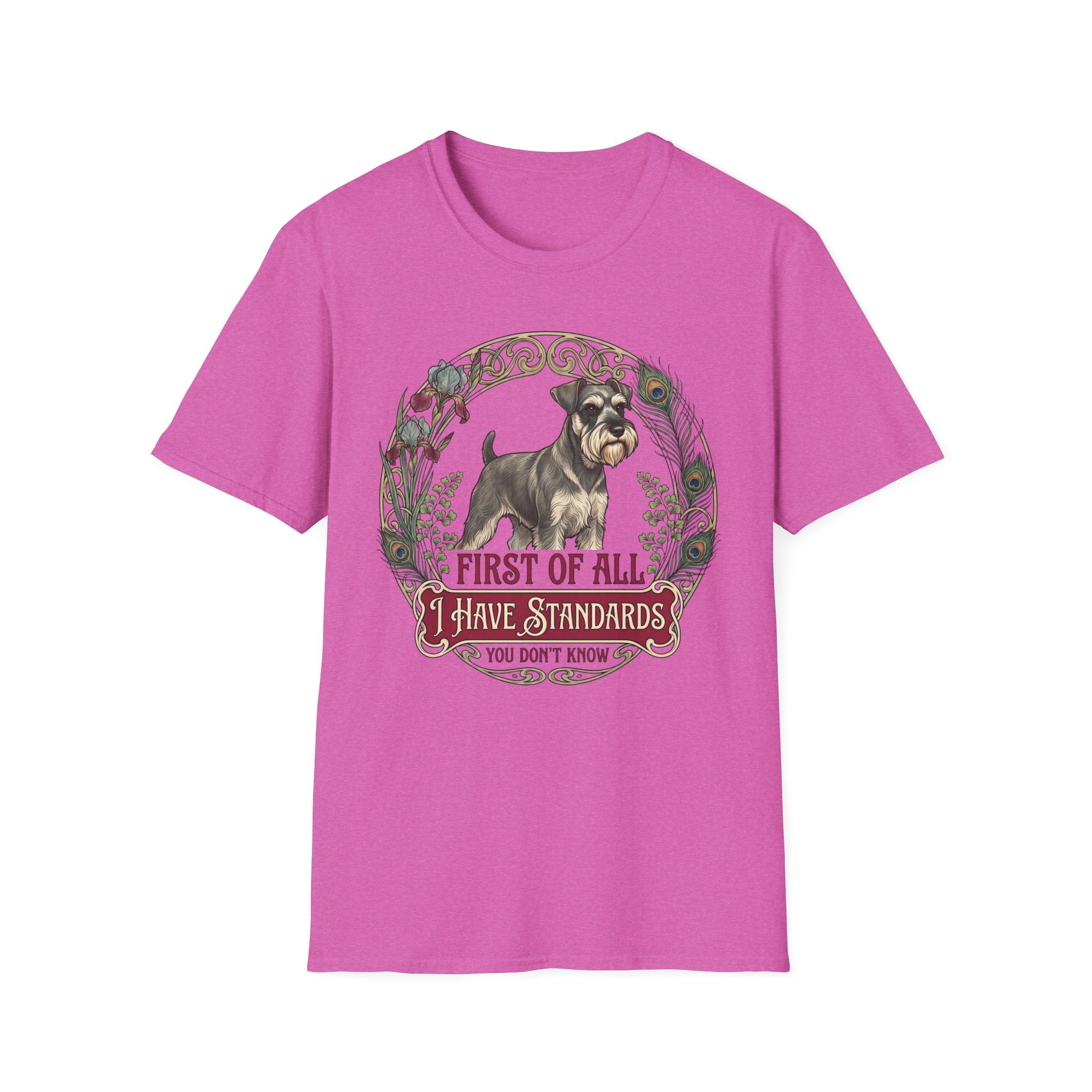 I Have Standards T-Shirt