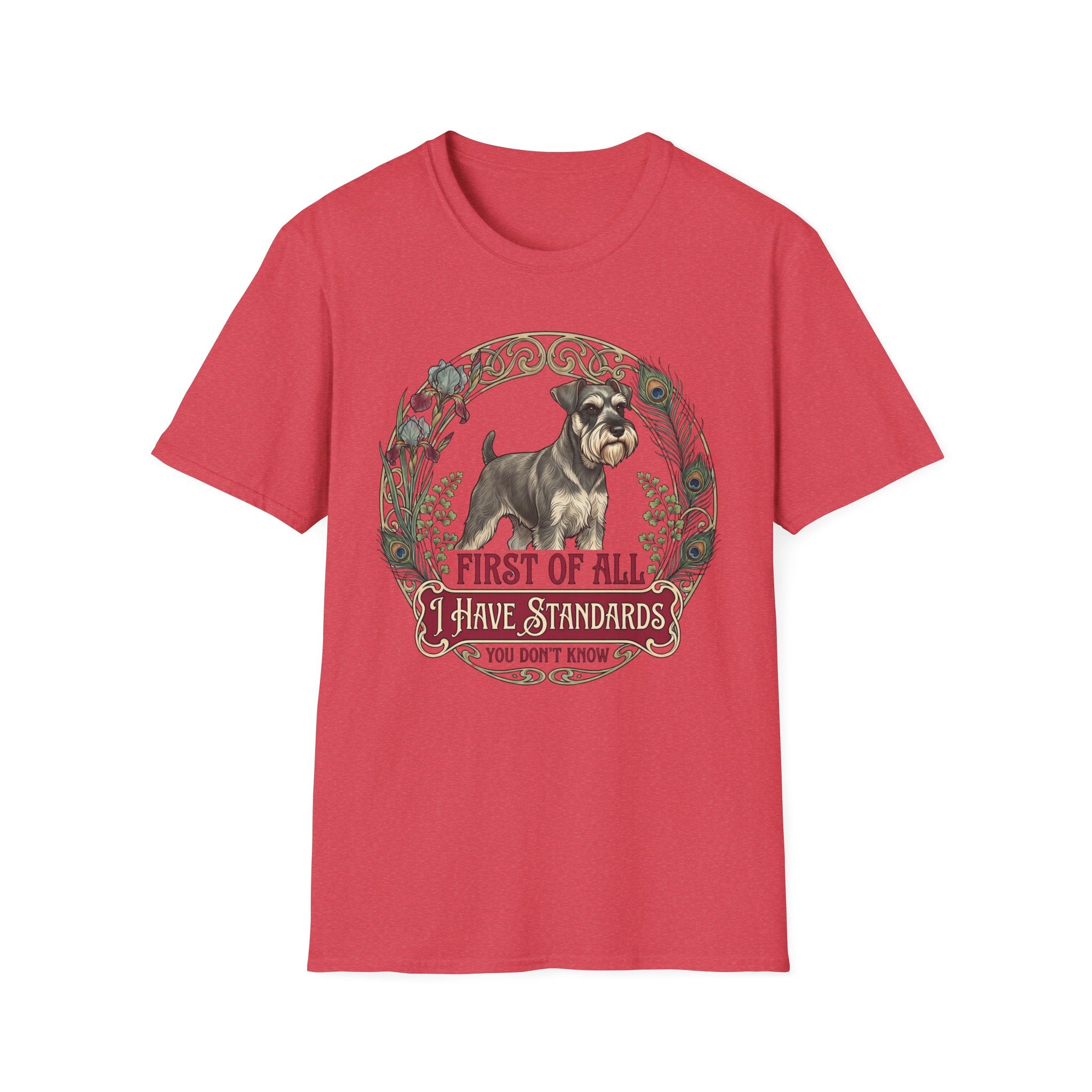 I Have Standards T-Shirt