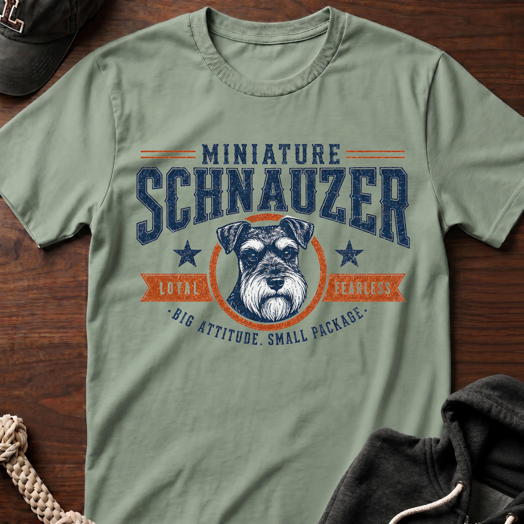 Small Package T-Shirt