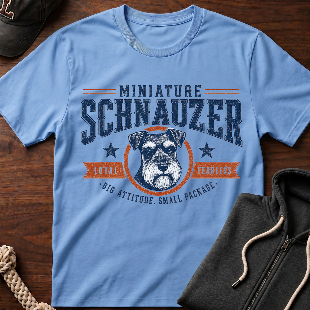 Small Package T-Shirt